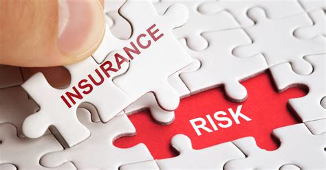 Insurance risk manager .